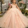 Robe de fête rose pour enfant avec motifs en dentelle papillon (pour concours ou cérémonie) CHK220